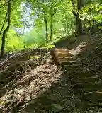 Szent Erzsébet-forrás, Bükkzsérc