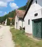 Berezdaljai Pincesor, Cserépfalu