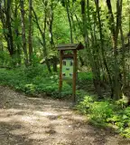 Ördögtorony tanösvény, Cserépfalu