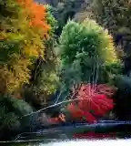 Ágneslaki Ökoturisztikai Centrum, Csurgónagymarton