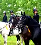 Ameko Lovas és Szabadidő Centrum, Döge