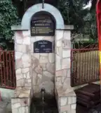 Forrásviz, Domaháza