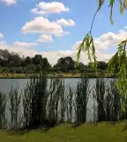 Hosszú-tó, Drávacsepely