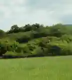 Várdomb (Ilona-vár), Ecseg