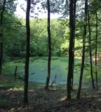 Tőzegmohás láptavak, Egerbakta