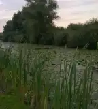 Mrtvica-tó, Felsőszentmárton