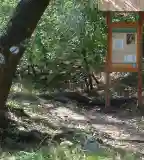 Barát-réti Tanösvény, Felsőtárkány