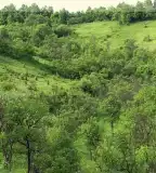 Határjárás tanösvény, Gömörszőlős