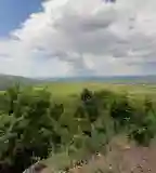 Cincér tanösvény, Gyöngyös