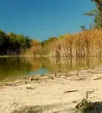 Homokszentgyörgyi Horgásztó, Homokszentgyörgy