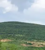 Nagy-hársas Erdei Tanösvény, Jobbágyi