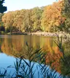 Tókaji Parkerdő, Kaposszerdahely