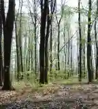 Fekete Harkály tanösvény, Kaposvár