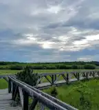 Baláta-tó Természetvédelmi Terület, Kaszó