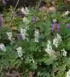 Berek-erdő tanösvény, Kerecsend