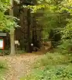 Páfrány tanösvény, Nagyhuta