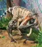 Helytörténeti és Természettudományi Gyűjtemény, Komló