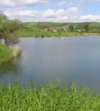 Kurityán bányató, Kurityán