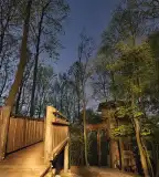 Lombkorona tanösvény, Lengyel