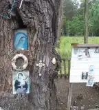 Képesfa, Libickozma