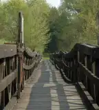 Desedai Kalanderdő, Magyaregres