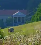 Reviczky-kastély, Magyarnándor