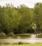 Majsi halastó, Majs