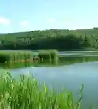 Acélgyári Horgásztó, Mátraszele