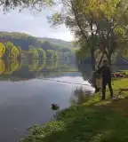 Mecsekpölöskei horgásztó, Mecsekpölöske