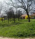 Pincefalu, Megyaszó