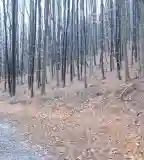 Pisztráng Tanösvény, Mátraszentimre