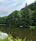 Áfonyás-tó, Nagyhuta