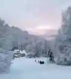 Sípálya, Nagyvisnyó