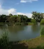 Ezersziget horgásztó, Nézsa