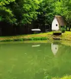 Pisztrángos tavak, Óbánya