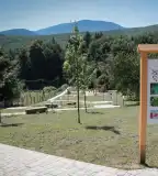 Ősjuhar Mini Tanösvény, Parádsasvár