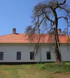 Csefalvay-kúria, Pincehely