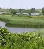 Pacsmagi-tavak Természetvédelmi terület, Regöly