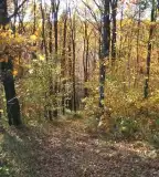 Tárnics tanösvény, Répáshuta