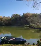 Rinyaszentkirályi Horgásztó, Rinyaszentkirály