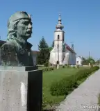 Tinódi emlékmű, Rózsafa