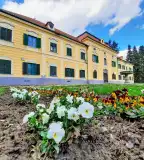 Draskovich kastély parkja, Sellye