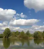 Pontyfészek Sporthorgásztó, Simontornya