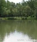 Iszapoló-tó, Szálka