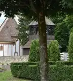 Fa harangláb, Szalonna