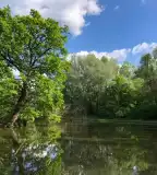 Szedresi-tó (Holt Sárvíz), Szedres