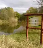 Ős-sárvíz tanösvény, Szedres