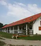 Török Lovastanya, Szenta