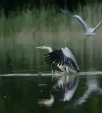 Szentborbási tanösvény, Szentborbás