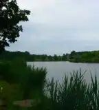 Szőkei horgásztavak, Szőke